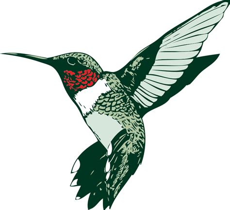 Free Clipart Ruby Throated Hummingbird Tawm1972