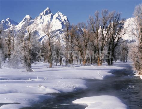 Usa Wyoming Grand Teton National Park Covered In Snow Picture Art