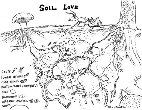 Soil Page Coloring Pages