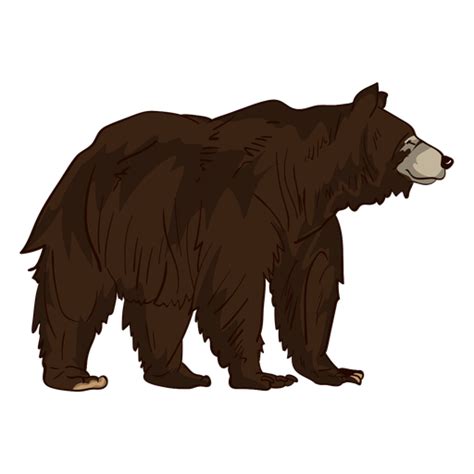 Brown grizzly bear cartoon #AD , #SPONSORED, #Sponsored, # ...