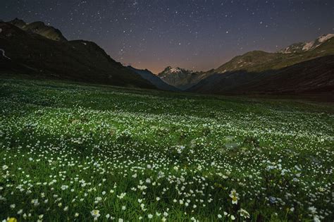 Summer Night Falls Over An Alpine Meadow Hd Wallpaper