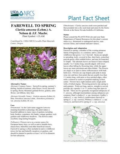 Plant Fact Sheet For Farewell To Spring Usda Plants Database