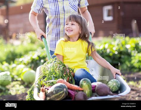 Little Girl Inside Wheelbarrow With Vegetables In The Garden Stock