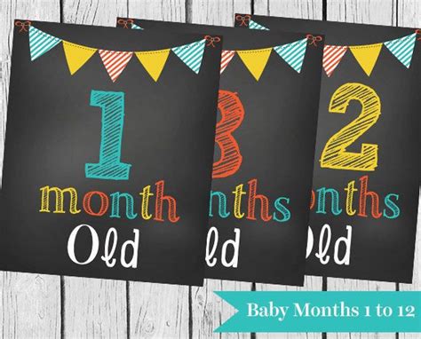 Monthly Baby Signs 1 12 Diy Chalkboards Colorful Bunting Printable