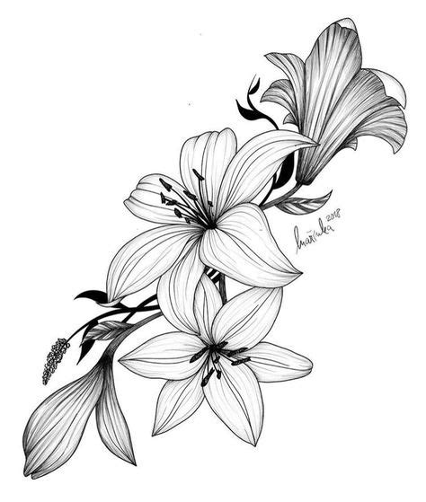 15 Best Lilies Images In 2020 Flower Tattoos Flower Sketches Flower Art
