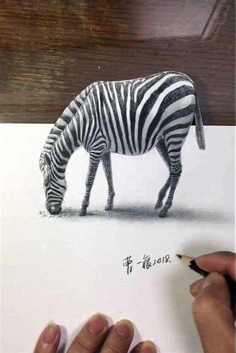 How to draw a zebra. Learn how to draw a 3D zebra in 3 minutes. 3D drawing art ...