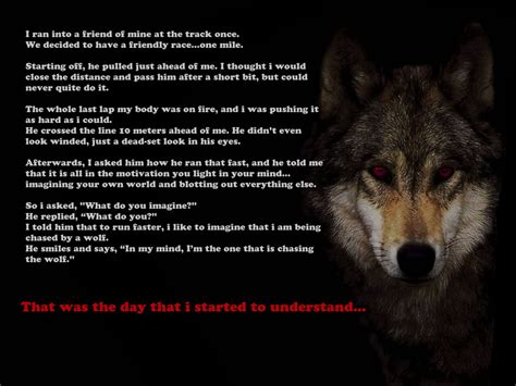 Wolf Quotes Wallpapers Top Free Wolf Quotes Backgrounds Wallpaperaccess