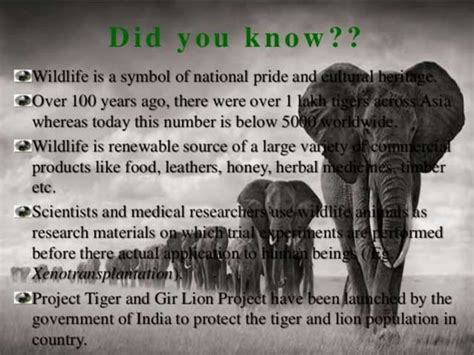 Wildlife Conservation And Its Benefits Ppt