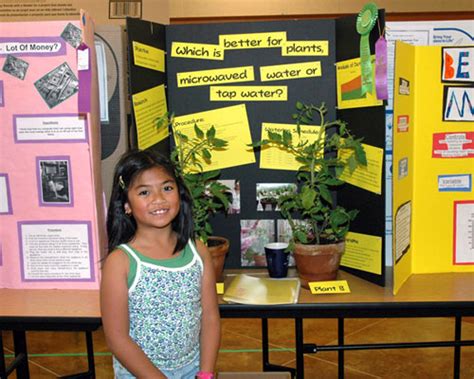 How To Do A Science Fair Project