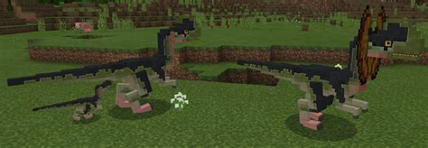 Maybe you would like to learn more about one of these? Dilophosaurus Add-on! Poisonous dinosaurs in minecraft ...