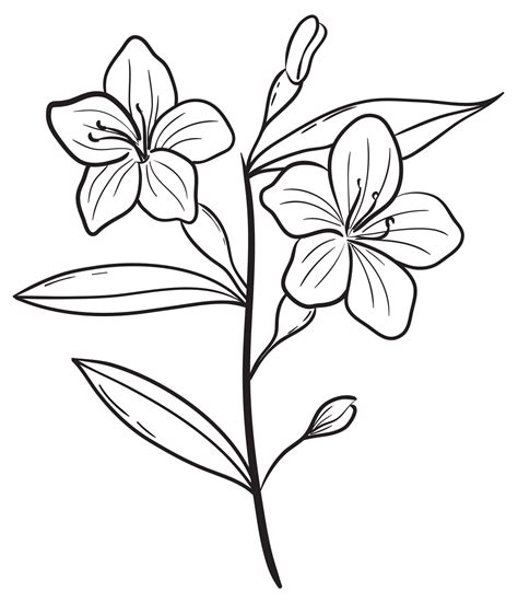 Hand Draw Branch With Flowersline Art 22945127 Png