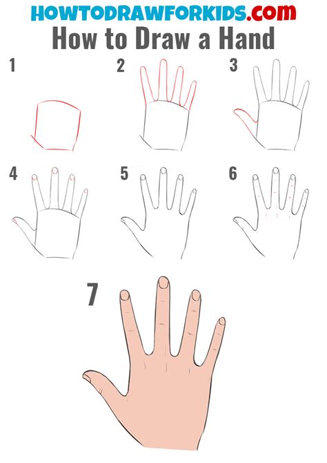 How To Draw A Hand Step By Step