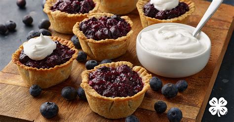 This Louisiana4h Recipe Is Almost Too Easy Blueberries Pie Crust