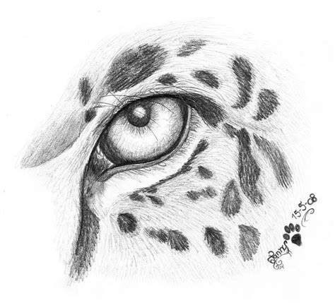 Jaguar Eye By Larimardragon On Deviantart