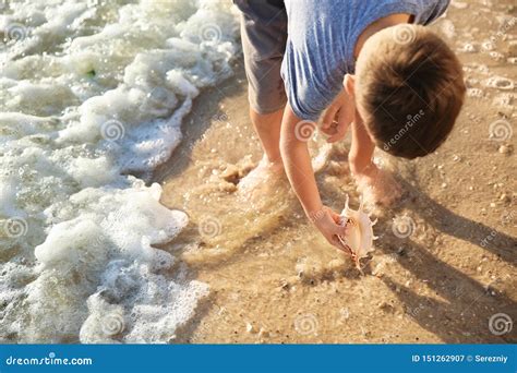 Cute Little Boy Gathering Sea Shells On Beach Stock Image Image Of