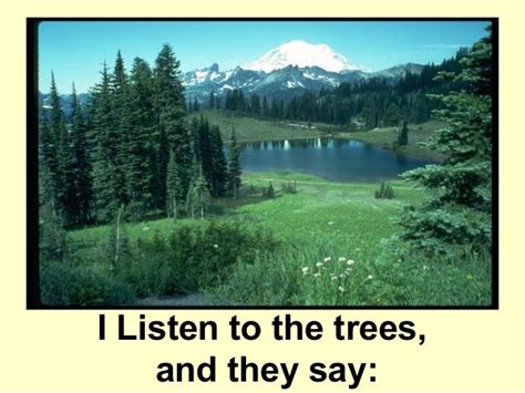 Morals Listen To The Trees And Theysay