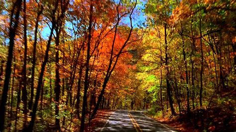 Take A Drive Through Arkansass Signature Fall Foliage Youtube