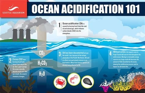 Washington State Re Ups Leadership In Addressing Ocean Acidification