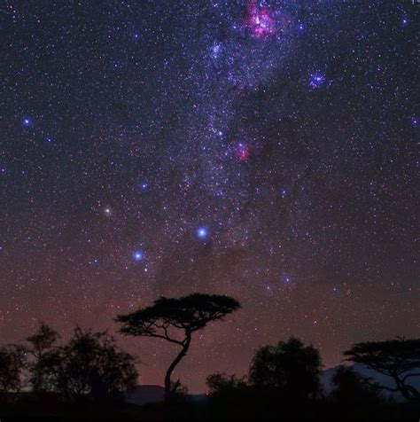 The Southern Cross Milky Way And Carina Nebula Seen Over Amboseli
