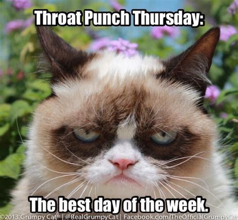 Throat Punch Thursday Best Day Of The Week Grumpy Cat Grumpy Cat