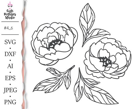 Set of Peony flowers Cricut SVG cut file Peony dxf eps Peony | Etsy