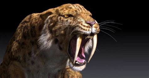 Top 10 Extinct Animals That Scientists Want To Bring Back Listverse