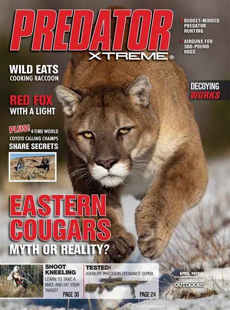 The Myth Of The Eastern Cougar Grand View Outdoors