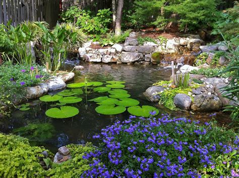 Water Garden Design Planning And Maintenance In Alabama