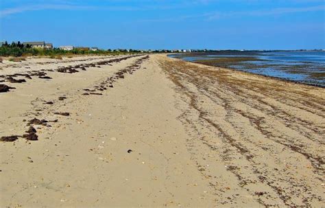 Best Beaches In Delaware The Crazy Tourist