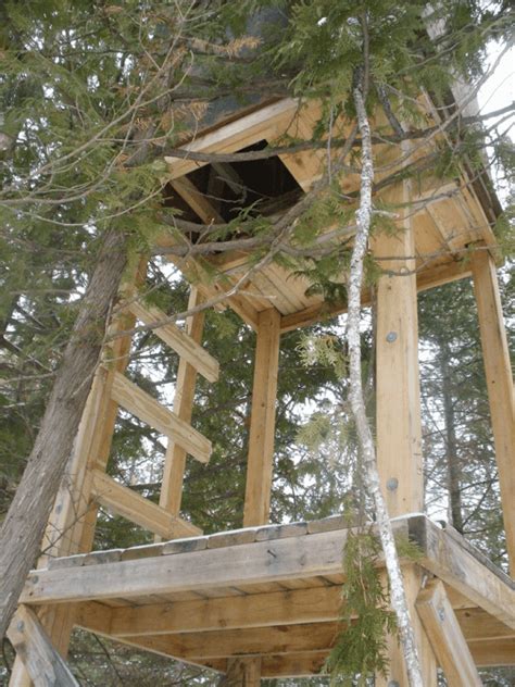 How To Build A Natural Deer Hunting Blind Know Prepare Survive