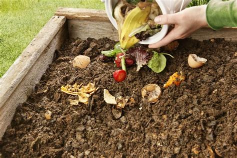 What Can You Compost Kellogg Garden Organics