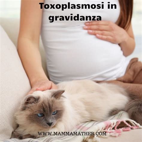 Symptoms Of Toxoplasmosis My XXX Hot Girl
