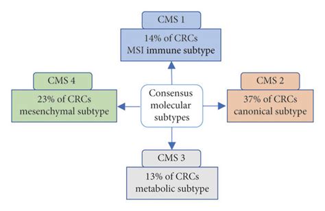 Consensus Molecular Subtypes Classification Of Colorectal Cancer Cms