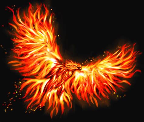 17 Best Thunder Bird Phoenix Images On Pinterest Fantasy Creatures