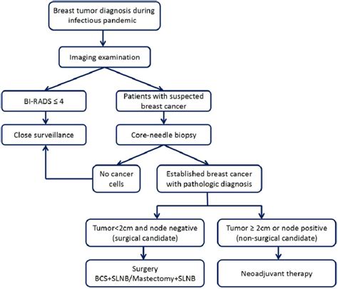 The Suggested Approach To Breast Tumor Diagnosis And Treatment