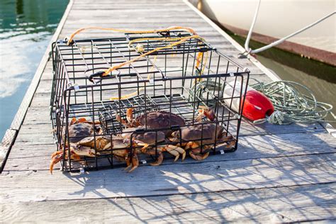 5 Essential Tips How Do Crab Traps Work A Comprehensive Guide