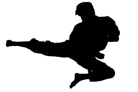 Karate Punch Silhouette