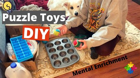 Brain Games For Dogs Diy Puzzle Toys Youtube