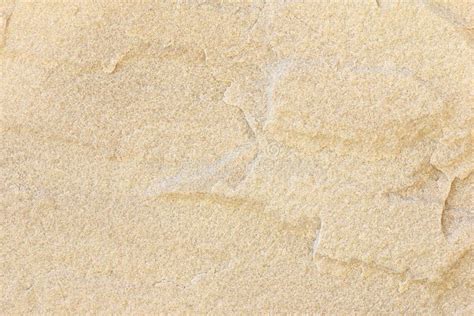 Details Of Sandstone Texture Background Stock Photo Image Of Wall