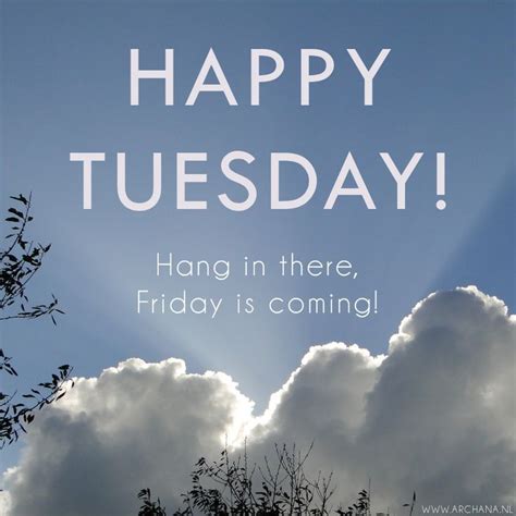 Tuesdays are a chance for a new beginning & a new perspective, so make beautiful tuesday quotes. Happy Tuesday Hang In There Pictures, Photos, and Images for Facebook, Tumblr, Pinterest, and ...