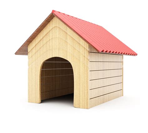 A Visual Guide On How To Build A Dog House In 8 Simple Steps