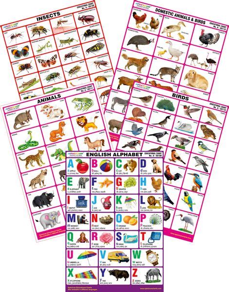 Spectrum Mirror Coat Educational Charts Set Of 5 Set 120 English