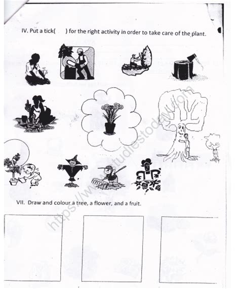 Cbse Class 1 Evs Plants Around Us Worksheet Set B Practice Worksheet