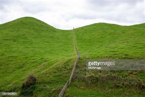 New Zealand Grass Photos And Premium High Res Pictures Getty Images