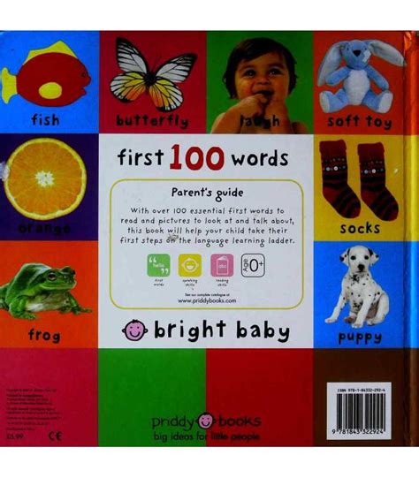 First 100 Words Roger Priddy 9781843322924