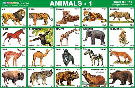 Top 115 Wild And Domestic Animals Chart