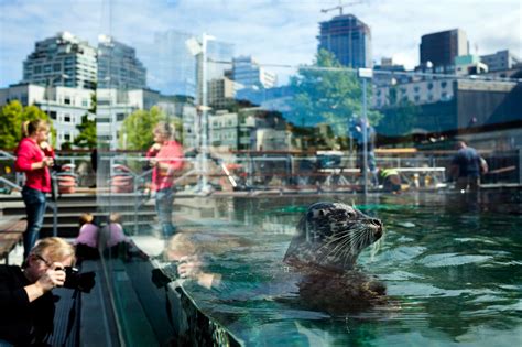 How To Get Free Passes To Seattle Aquarium 14 Museums