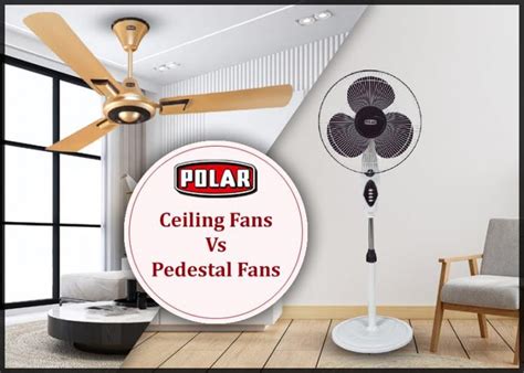 Ceiling Fans Vs Pedestal Fans Polar Electric Explore The Premium