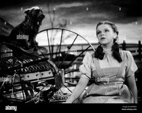 Toto The Wizard Of Oz Black And White Stock Photos And Images Alamy