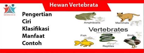 Klasifikasi Hewan Vertebrata Dan Invertebrata Dan Perbedaannya Riset